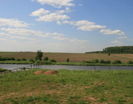 Купить дом в коттеджном поселке Дом у реки