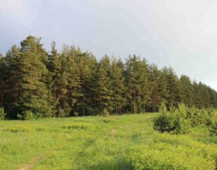 Барские просторы на Горьковском шоссе