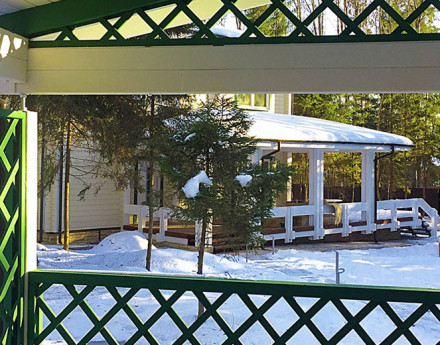 Истринский лес дома