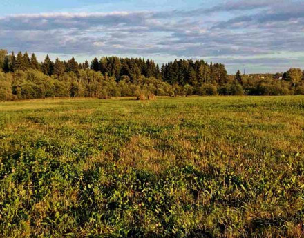 Купить участок Аквамарин