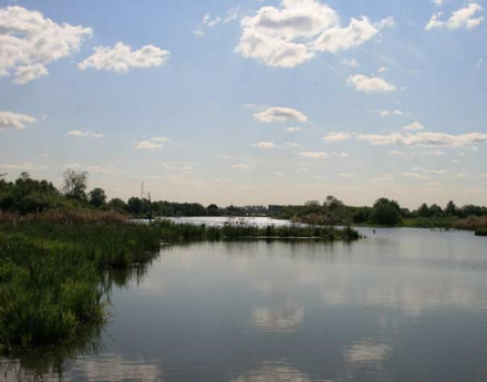 Озеро в поселке Дом у реки