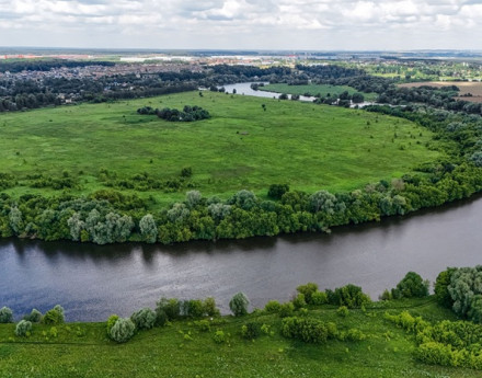 Виды Жемчужина Софьино