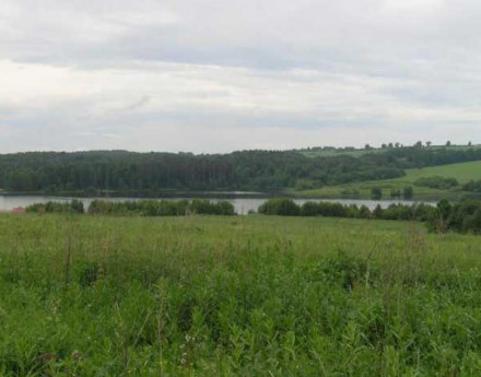 Дачный поселок Ваулино