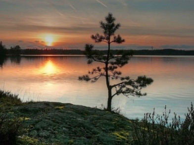 Территория Вашутинское озеро