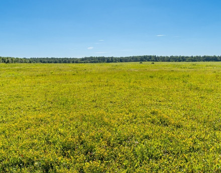 Виды Поваровская слобода