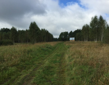 Виды поселка Лесной