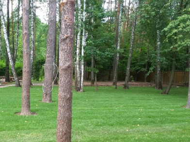 Территория поселка Изумрудный век