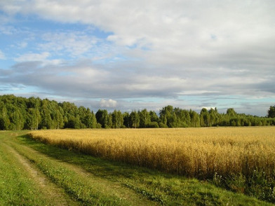 Агрокомплекс Аринино