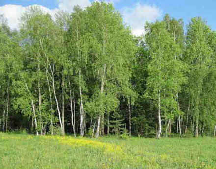 Территория Верховье-2