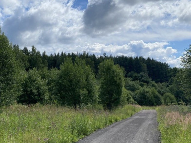 Коттеджный поселок Новое Огуднево-2