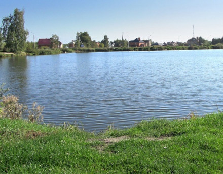 Дачный поселок Ожерелки лайф