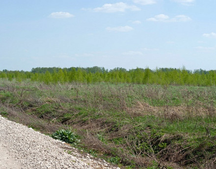 Участки Ясная поляна