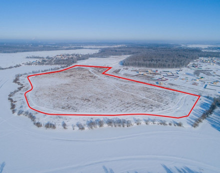 Виды Регата