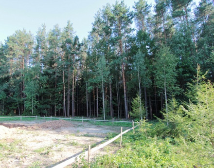 Виды поселка Лисья горка