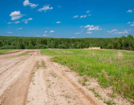 Дорога в поселок Тургенево