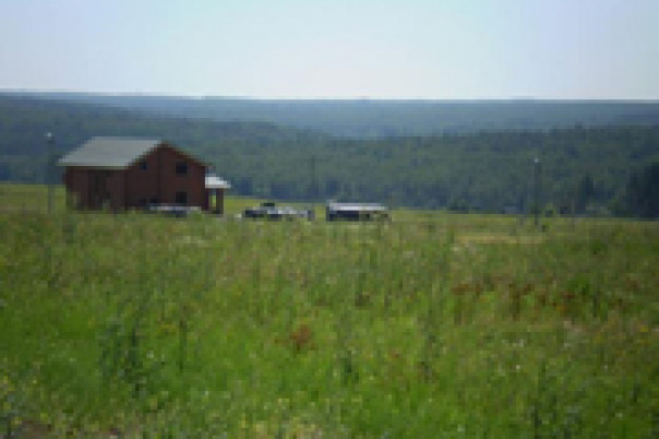 Как купить земельный участок без проблем?