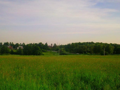 Коттеджный поселок Вишни-Григорково