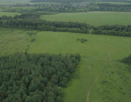 Дачный поселок Подмосковное