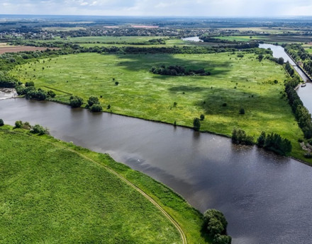 Виды Жемчужина Софьино