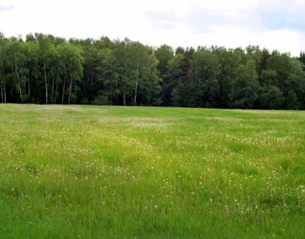 Купить недвижимость в Благово