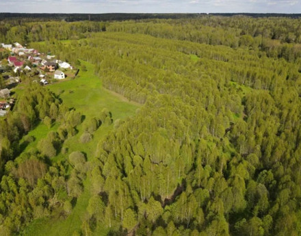 Виды Деньково Дачное