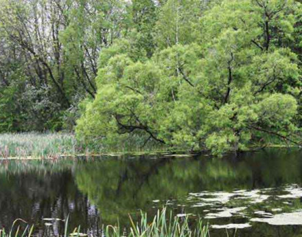 Участки Долина Имений
