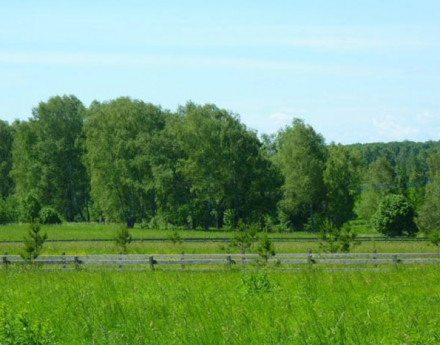 Купить участок в поселке Оборенское поместье