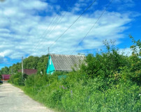 1294_1.jpg