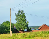 1297_23.jpg