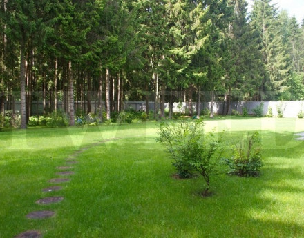 Окрестности дачного поселка Околица