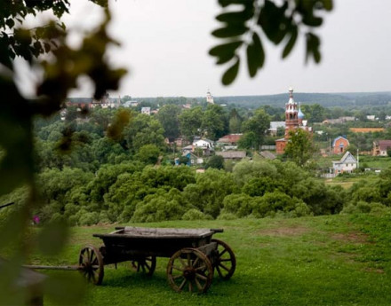 Природа в поселке Боровики