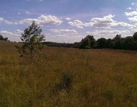 Купить участок Позитив