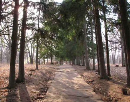 Дорога в поселок Горицкое подворье