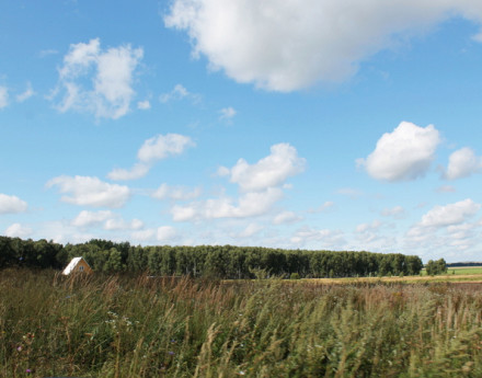 Дачный поселок Петровское