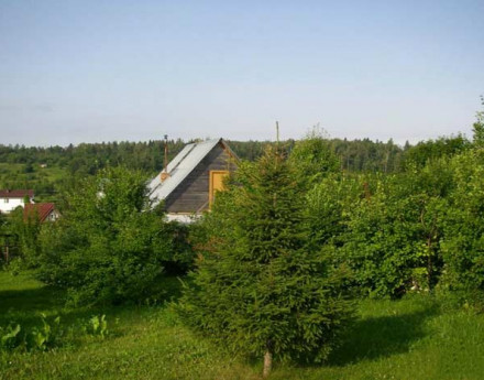 Участки в поселке Паново