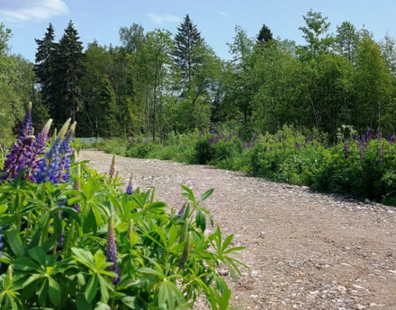 Коттеджный поселок Турейка CLUB