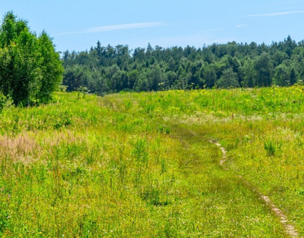 Виды Поваровская слобода