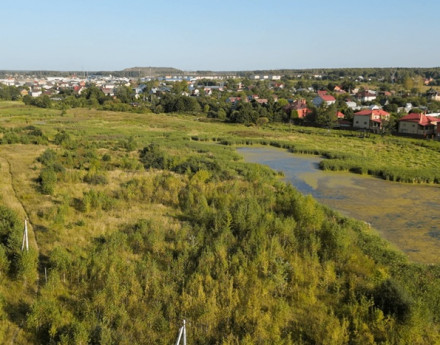 Виды Мотяково Лайф