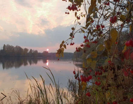 Виды поселка Бушарино-2