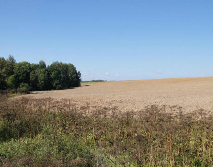 Коттеджный поселок Балабаново