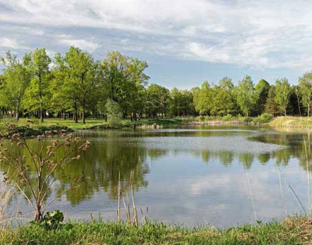 Купить дом в дачном поселке Ваулино