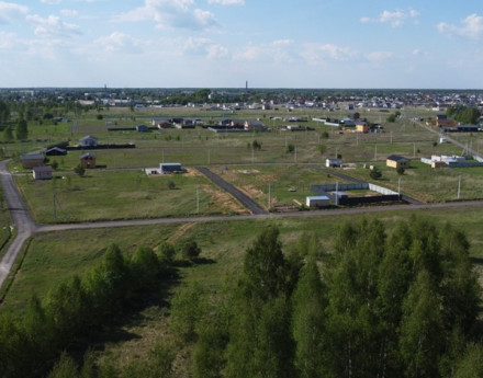 Виды Березки life