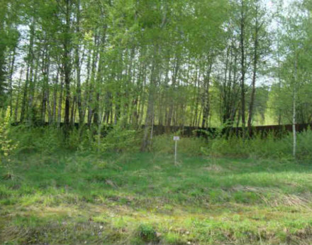 Окрестности поселка Сосновый край