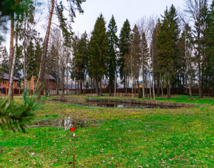 Коттеджный поселок Шишки