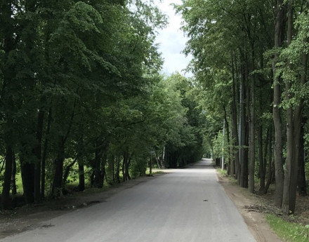 Дорога в поселок Пушкино