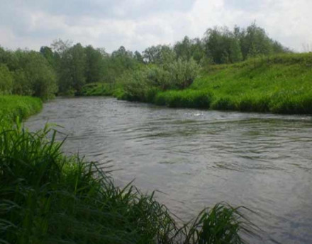 Река в поселке Подколокольный