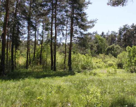 Виды поселка Ильинский