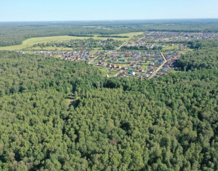 Виды Каретный ряд