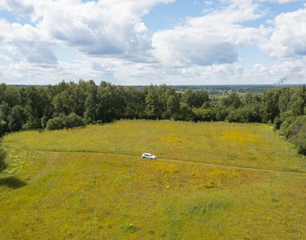 Виды Петряиха