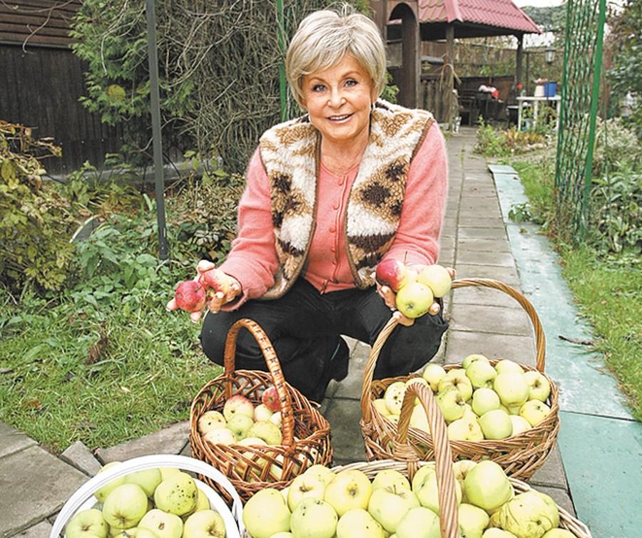 Ангелина Вовк Семья Дети Фото